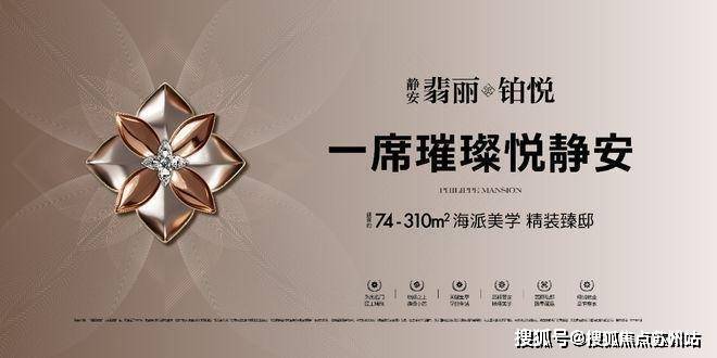 静安·翡丽铂悦发布：翡丽铂悦豪宅热卖中！开元棋牌app2025聚焦ʚɞ ꦿ℘@(图29)