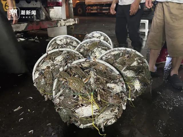 关部门预计：梭子蟹价格可能还会再跌开元棋牌价格大跳水很多人爱吃！相(图3)